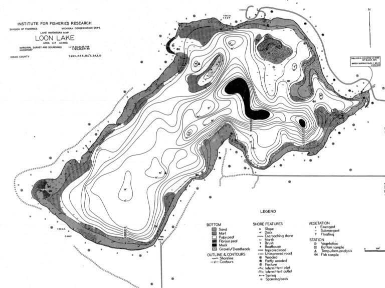 Our Lake – Loon Lake Conservancy